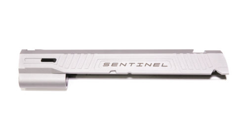 Custom Sentinel slide